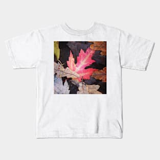 Autumnal leaf collection 2 Kids T-Shirt